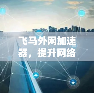 飞马外网加速器，提升网络效率的秘密武器